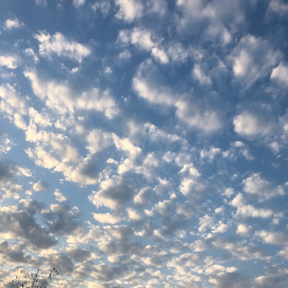 Meet your Posher, Ayanna - Picture 1 of 1